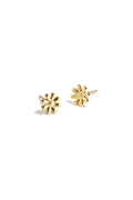 Boucles d'oreilles brillantes en acier inoxydable Diasy