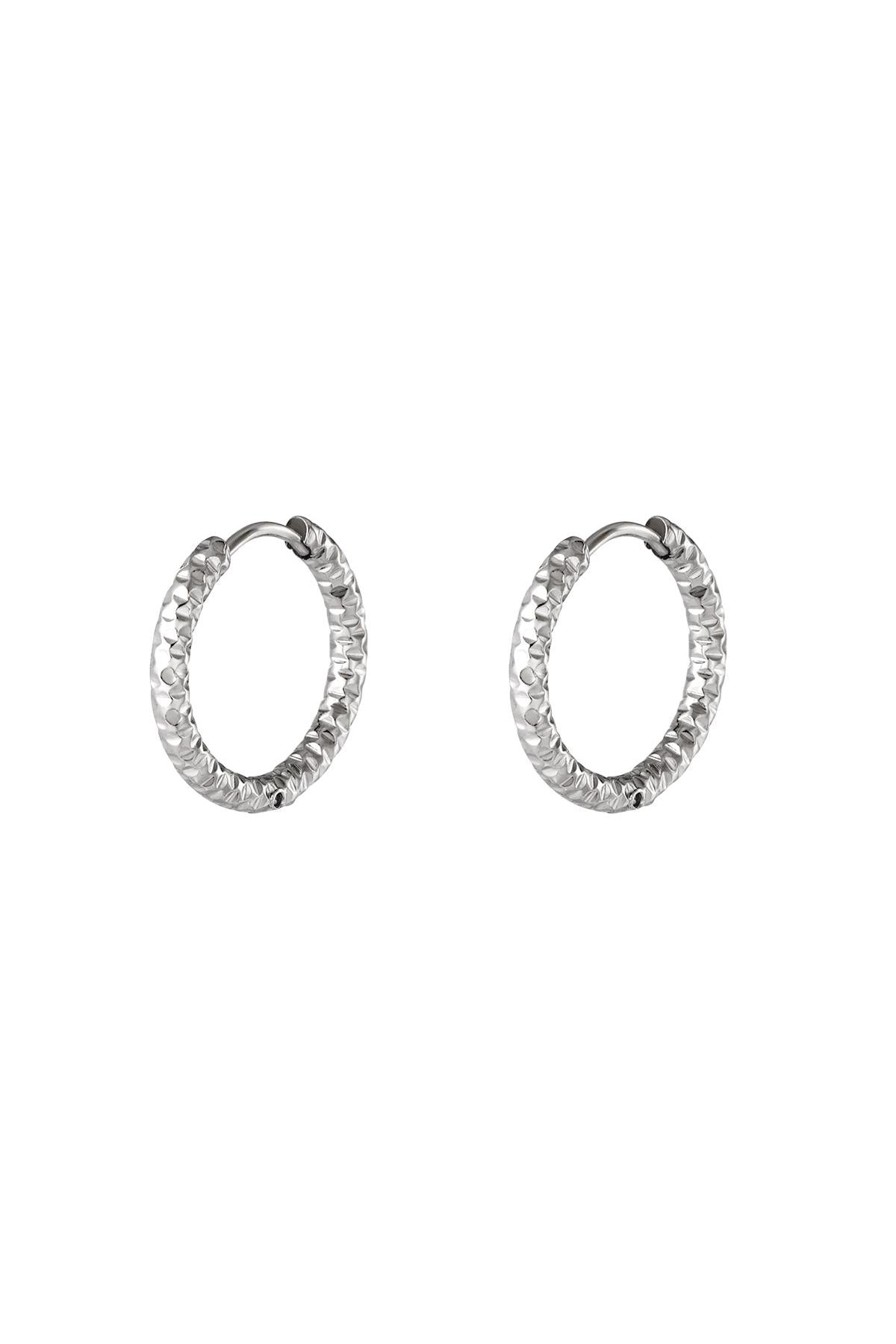 Boucles d'oreilles créoles en acier inoxydable Argenté