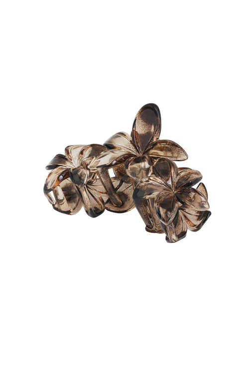 Barrette à cheveux fleurs sauvages - Marron